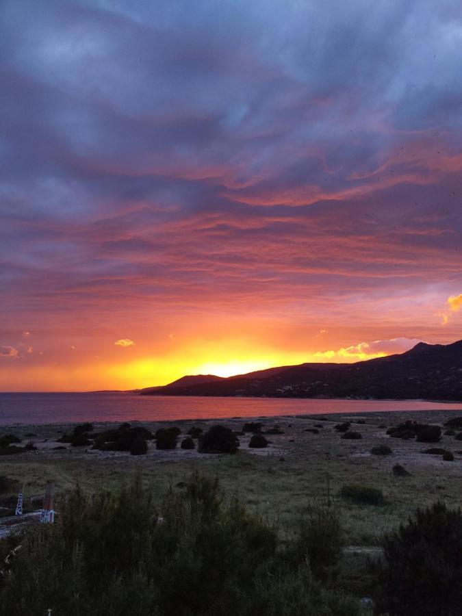 Camping Tikiti Propriano  Exteriör bild