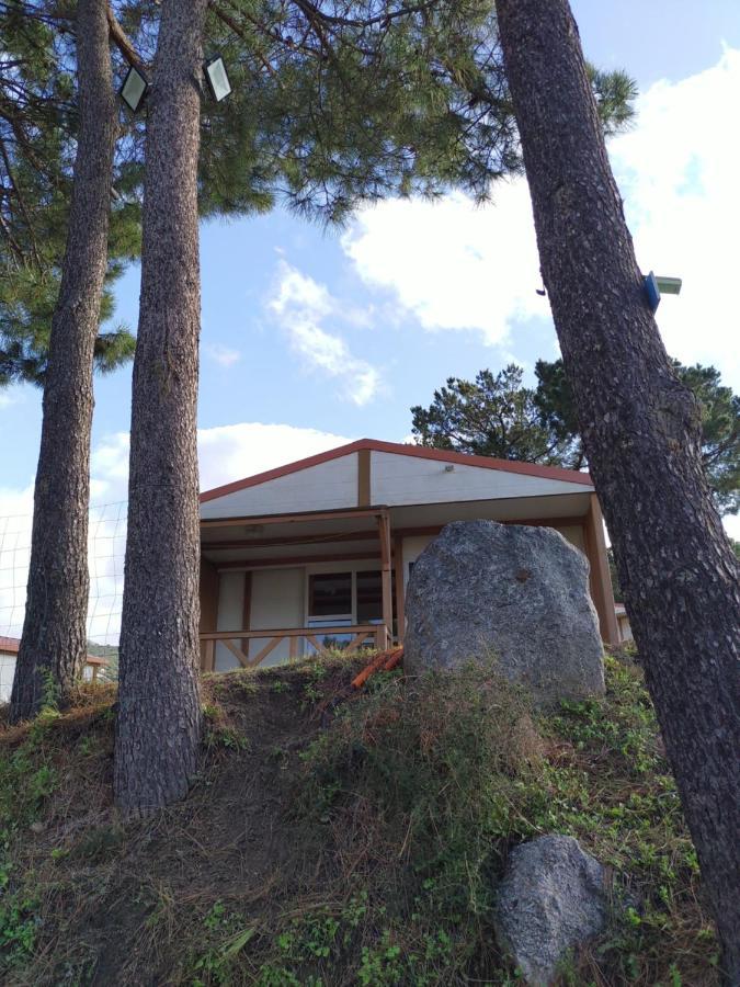 Camping Tikiti Propriano  Exteriör bild