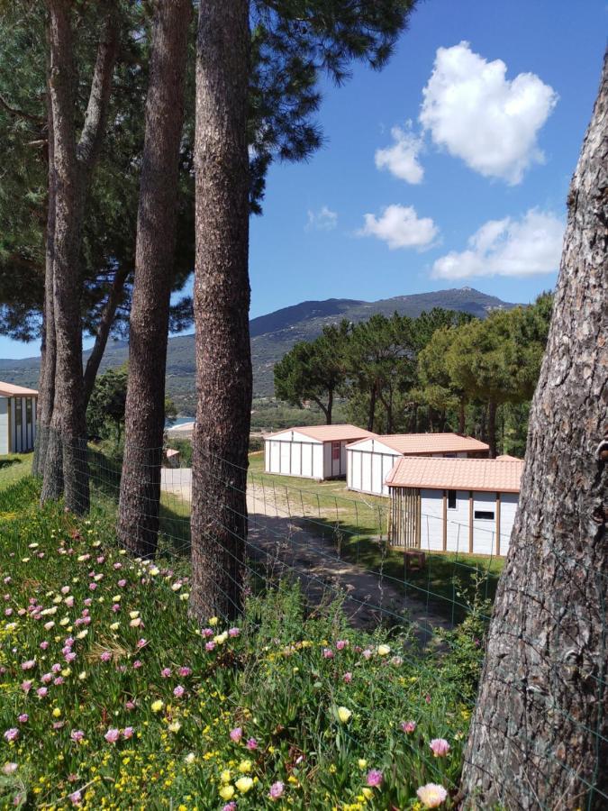 Camping Tikiti Propriano  Exteriör bild