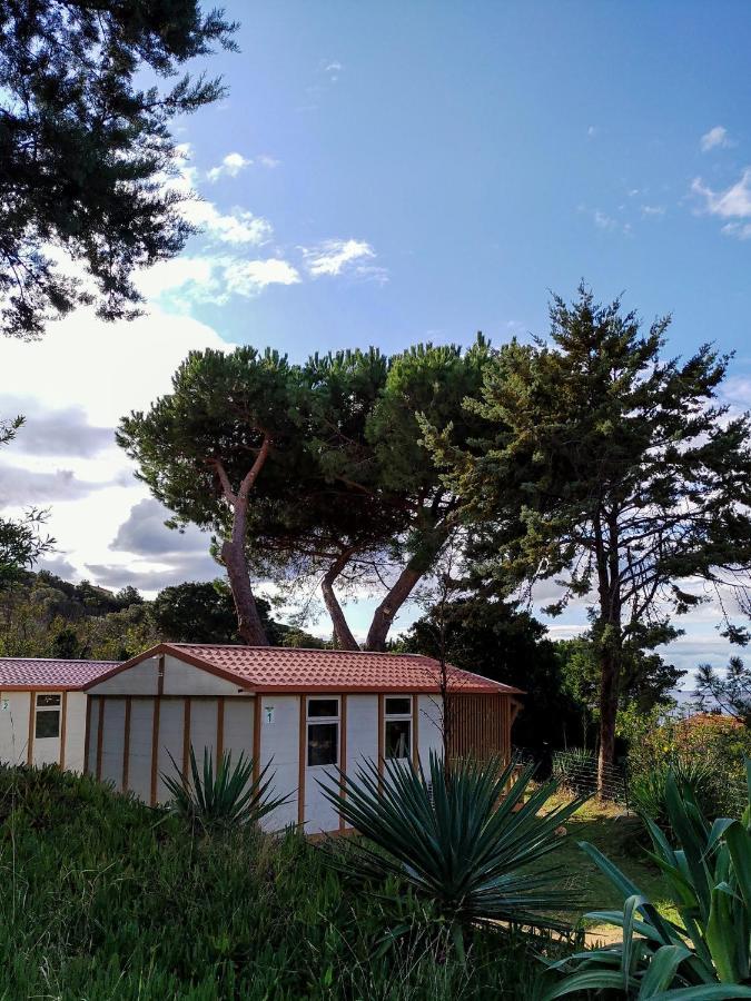 Camping Tikiti Propriano  Exteriör bild