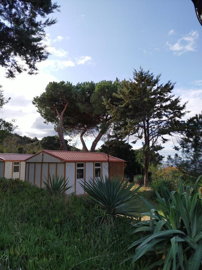 Camping Tikiti Propriano  Exteriör bild